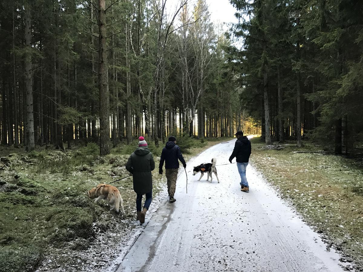 Tryde 1303 B&B Pa Oesterlen Tomelilla Luaran gambar